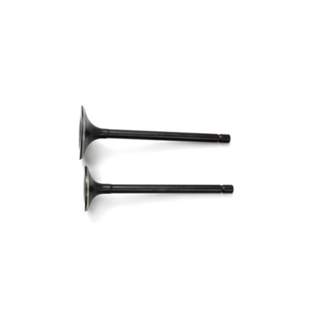 VALVULA ADM- ESC SET DM200- TC200