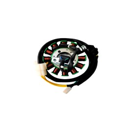 Estator ( 12 BOBINS 250-Z 14- 17/250Z)