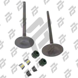 VALVULAS CALIDAD GOLD (IRON BOX) (ADMISION Y ESCAPE) XEVERUS-250 19-21