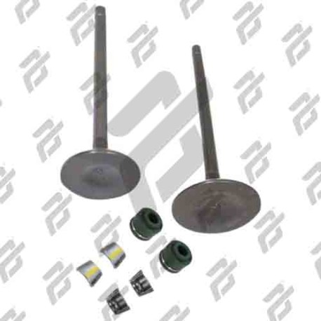 VALVULAS CALIDAD GOLD (IRON BOX) (ADMISION Y ESCAPE) XEVERUS-250 19-21