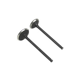 VALVULA ADM- ESC SET FT250