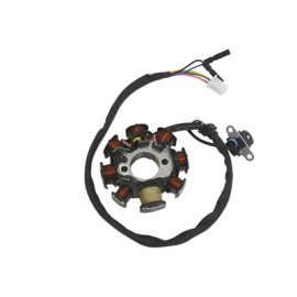 BOBINAS INDUCIDO DS150 WSTD