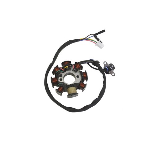 BOBINAS INDUCIDO DS150 WSTD