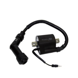 BOBINA ENCENDIDO EXTERNA GL150 WSTD